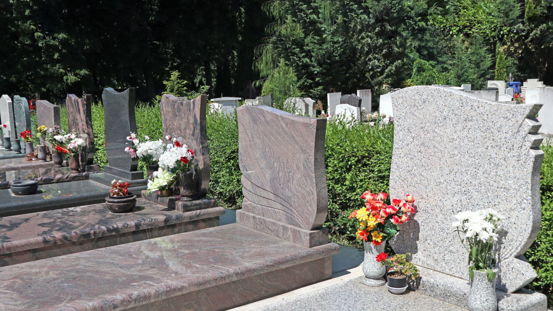 Низкая стоимость места на кладбище в
Санкт-Петербурге
